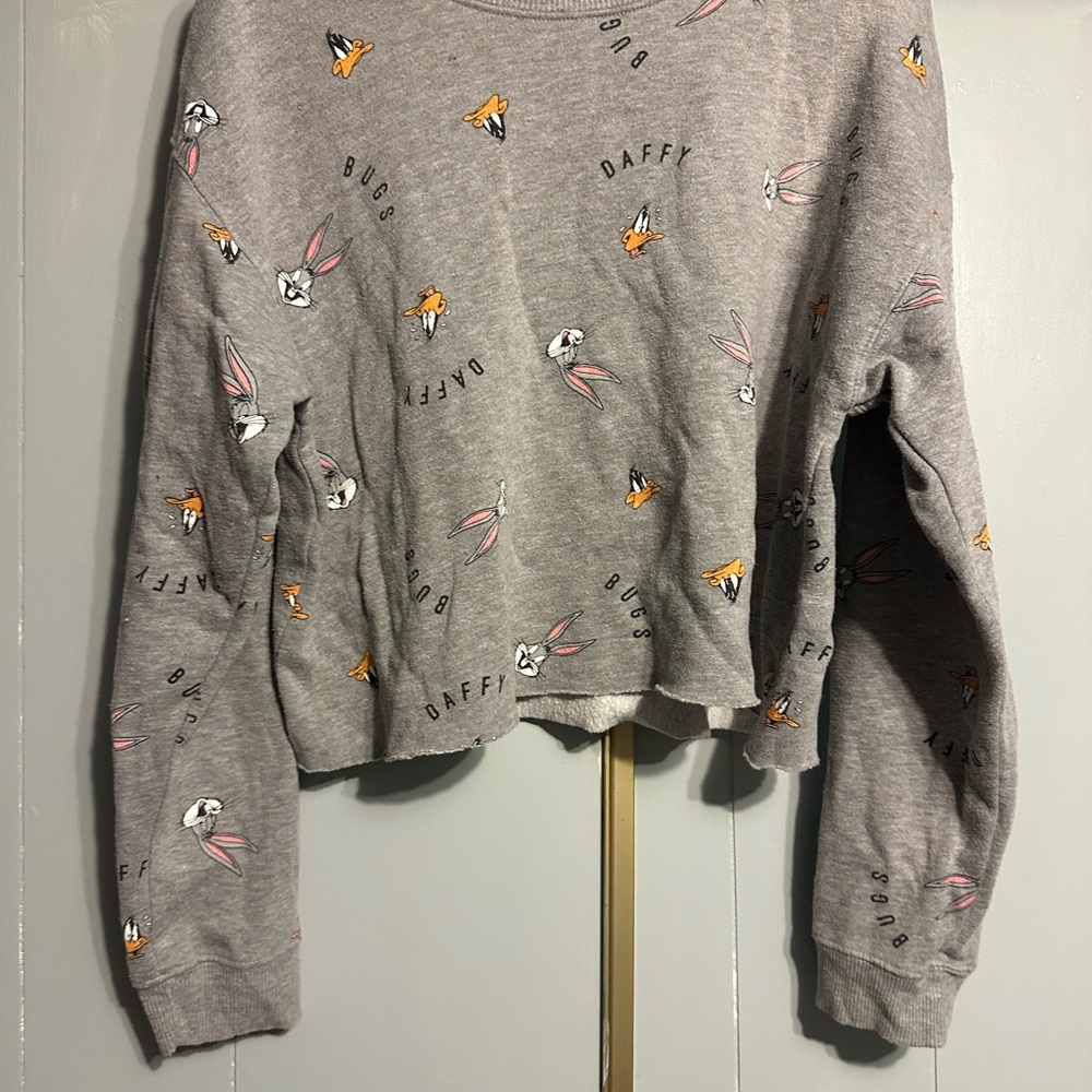 Gray Warner Bros. Women's Crop Sweatshirt